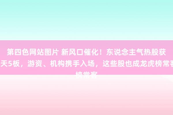 第四色网站图片 新风口催化！东说念主气热股获6天5板，游资、机构携手入场，这些股也成龙虎榜常客