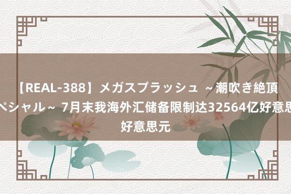 【REAL-388】メガスプラッシュ ～潮吹き絶頂スペシャル～ 7月末我海外汇储备限制达32564亿好意思元