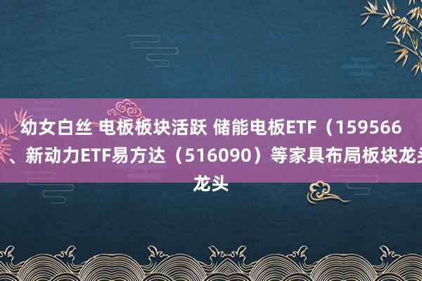 幼女白丝 电板板块活跃 储能电板ETF（159566）、新动力ETF易方达（516090）等家具布局板块龙头