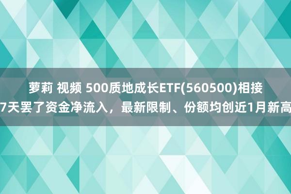 萝莉 视频 500质地成长ETF(560500)相接7天罢了资金净流入，最新限制、份额均创近1月新高