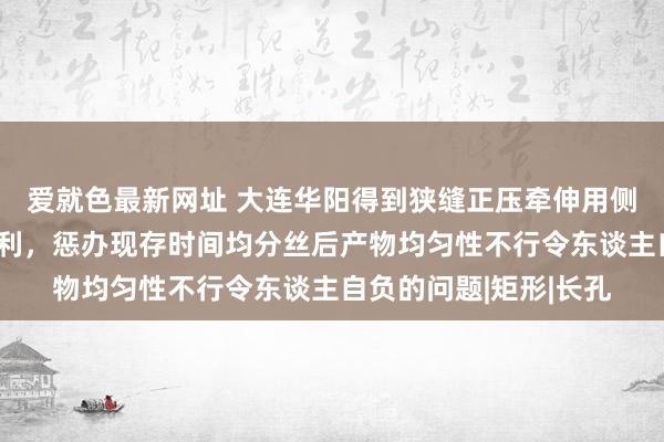 爱就色最新网址 大连华阳得到狭缝正压牵伸用侧面吹气气流分丝器专利，惩办现存时间均分丝后产物均匀性不行令东谈主自负的问题|矩形|长孔