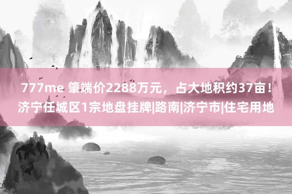 777me 肇端价2288万元，占大地积约37亩！济宁任城区1宗地盘挂牌|路南|济宁市|住宅用地