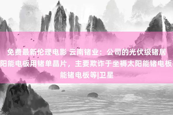 免费最新伦理电影 云南锗业:公司的光伏级锗居品为太阳能电板用锗单晶片,主要欺诈于坐褥太阳能锗电板等|卫星