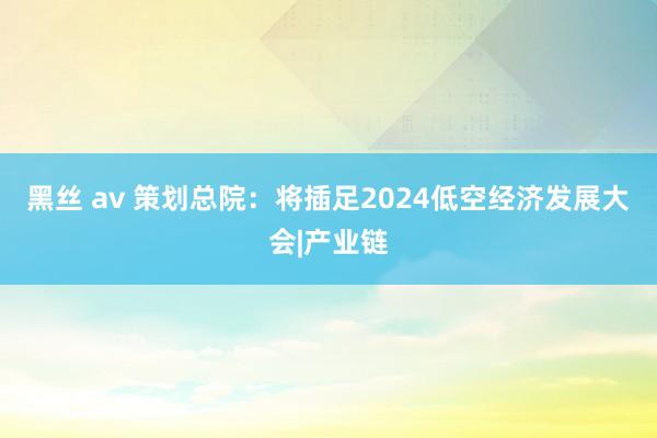 黑丝 av 策划总院:将插足2024低空经济发展大会|产业链