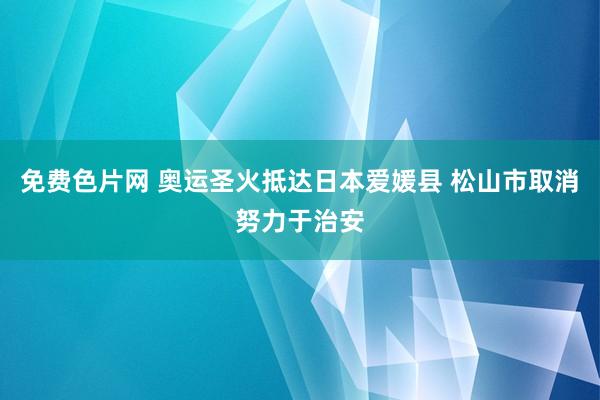 免费色片网 奥运圣火抵达日本爱媛县 松山市取消努力于治安