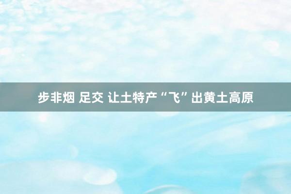 步非烟 足交 让土特产“飞”出黄土高原