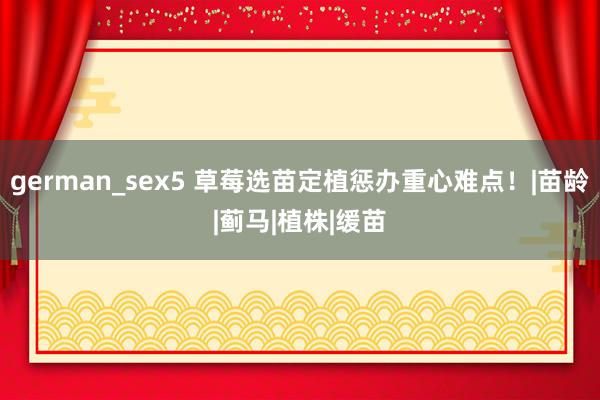 german_sex5 草莓选苗定植惩办重心难点！|苗龄|蓟马|植株|缓苗