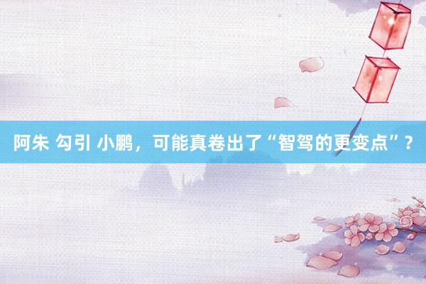 阿朱 勾引 小鹏，可能真卷出了“智驾的更变点”？