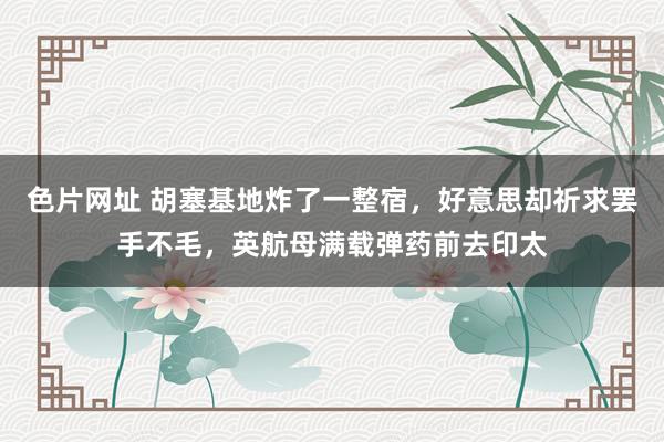 色片网址 胡塞基地炸了一整宿，好意思却祈求罢手不毛，英航母满载弹药前去印太