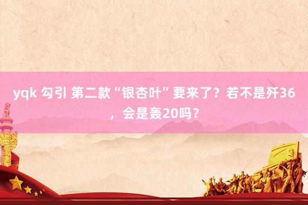 yqk 勾引 第二款“银杏叶”要来了？若不是歼36，会是轰20吗？