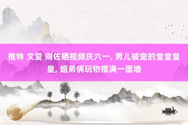 推特 文爱 向佐晒视频庆六一, 男儿被宠的堂堂皇皇, 姐弟俩玩物摆满一面墙
