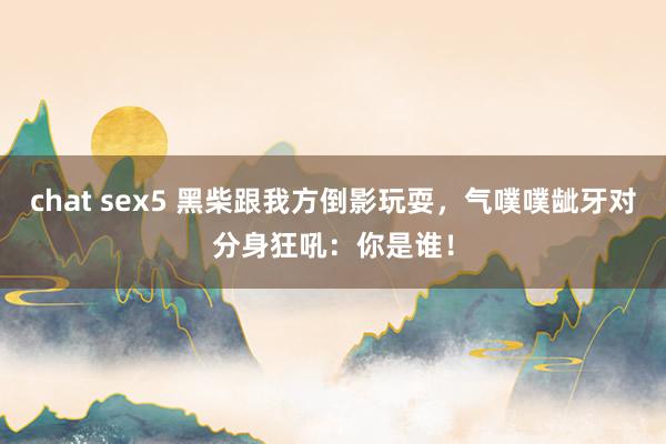 chat sex5 黑柴跟我方倒影玩耍，气噗噗龇牙对分身狂吼：你是谁！