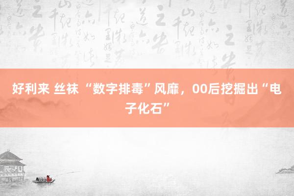 好利来 丝袜 “数字排毒”风靡，00后挖掘出“电子化石”