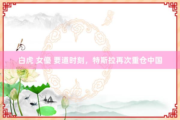 白虎 女優 要道时刻，特斯拉再次重仓中国